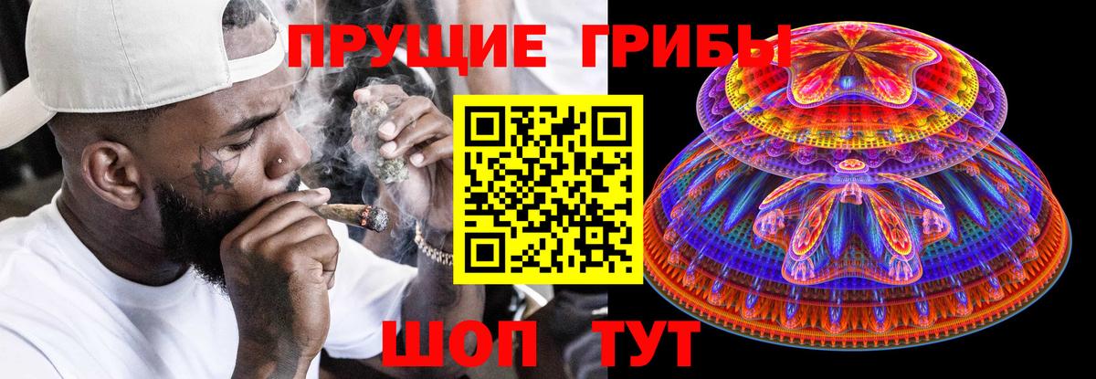 Галлюциногенные грибы MAGIC MUSHROOMS  Вход с VPN  Галлюциногенные грибы мухоморы  Псков 